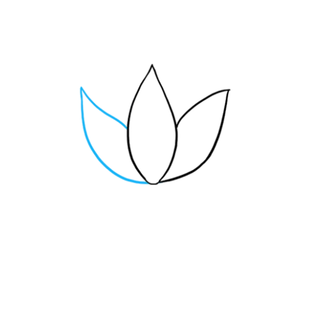 5 cách vẽ hoa sen đơn giản mà đẹp bằng bút chì và màu nước - Bestnhat 3