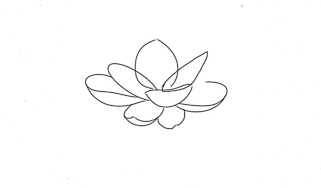 5 cách vẽ hoa sen đơn giản mà đẹp bằng bút chì và màu nước - Bestnhat 42