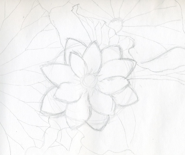 5 cách vẽ hoa sen đơn giản mà đẹp bằng bút chì và màu nước - Bestnhat 25