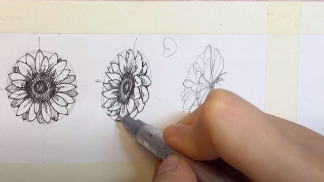 Bước 5: Tranh vẽ hoa hướng dương