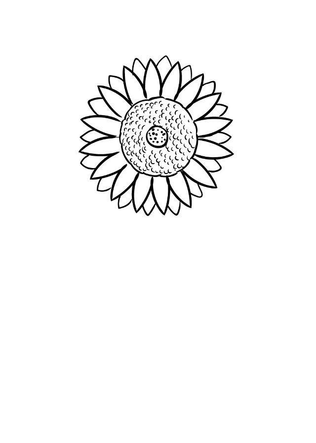 Bước 6: Vẽ hoa hướng dương đơn giản