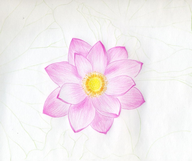 5 cách vẽ hoa sen đơn giản mà đẹp bằng bút chì và màu nước - Bestnhat 29