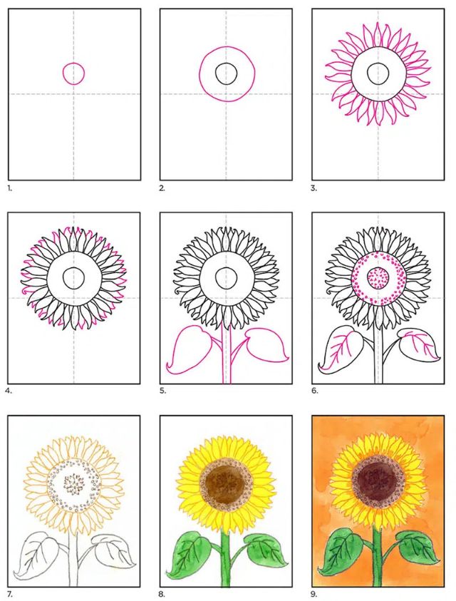 Cách vẽ hoa hướng dương đơn giản