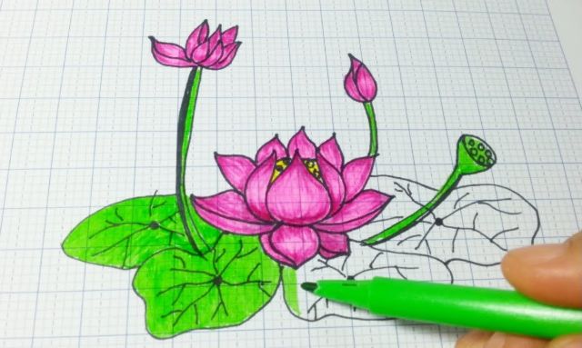 5 cách vẽ hoa sen đơn giản mà đẹp bằng bút chì và màu nước - Bestnhat 66